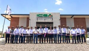 Cooperativas chaqueñas buscan incrementar productividad ganadera con Instituto de Biotecnología Animal