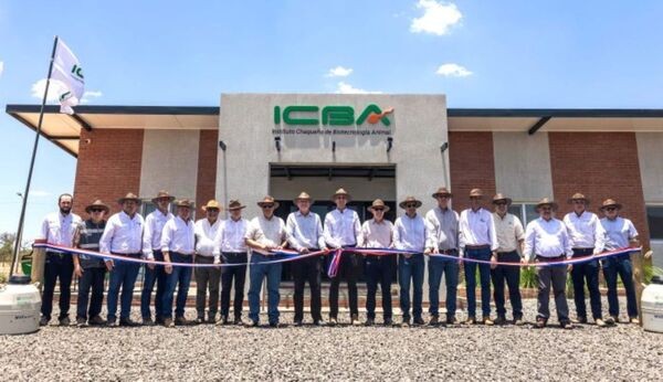 Cooperativas chaqueñas buscan incrementar productividad ganadera con Instituto de Biotecnología Animal