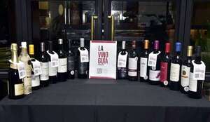 Presentan “La Vinoguía” de Paraguay - Sociales - ABC Color