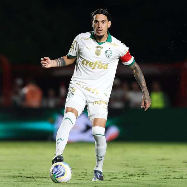 Botafogo tropieza y Palmeiras asume el liderato en Brasil - Fútbol Internacional - ABC Color