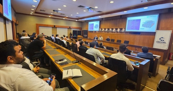 Proyectan invertir USD 500 millones en industria electrointensiva