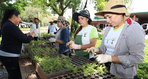 Centro Ambiental registra óptima producción de plantines forestales y medicinales
