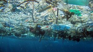 Comité de la ONU busca acuerdo "ambicioso" para limitar contaminación global de plásticos