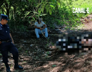 HOMBRE MUERE TRAS SER ATACADO POR UNA SERPIENTE MIENTRAS PLANTABA MARIHUANA
