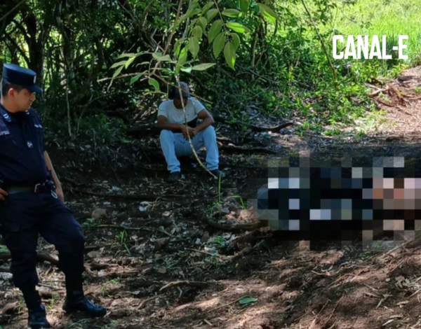 HOMBRE MUERE TRAS SER ATACADO POR UNA SERPIENTE MIENTRAS PLANTABA MARIHUANA