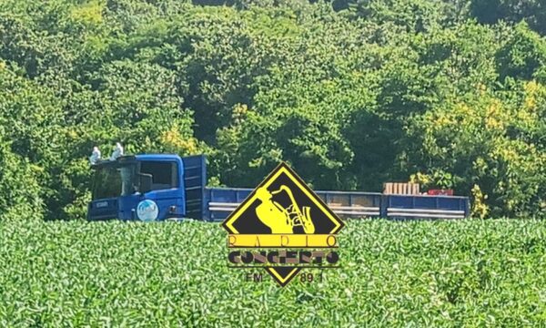 Asaltan camión repartidor de cerveza y llevan G. 37 millones