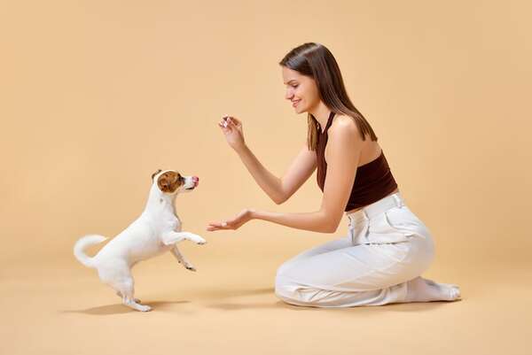 ¿Estás listo para tener una mascota? Así deberías evaluarlo - Mascotas - ABC Color