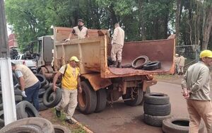 Eliminan más de 10.000 criaderos de mosquitos en CDE