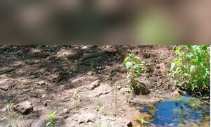 Karai murió tras ser mordido por una serpiente: Fue encontrado al lado de un arroyo