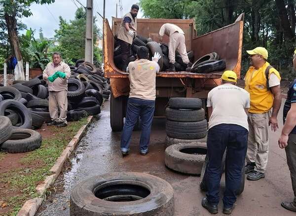 Preocupa aumento de notificaciones por sospechas de dengue en Alto Paraná - ABC en el Este - ABC Color