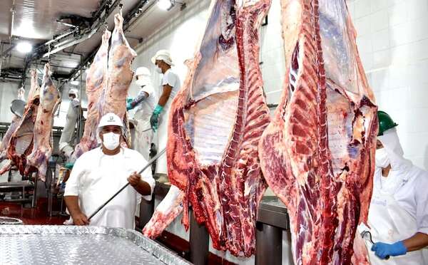 Multinacional francesa suspende compra de carne del Mercosur: ¿Cómo afectará a Paraguay? - Economía - ABC Color