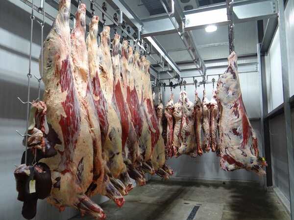 Rechazo de decisión de empresa francesa de instar a no comprar carne al Mercosur - 1000 Noticias