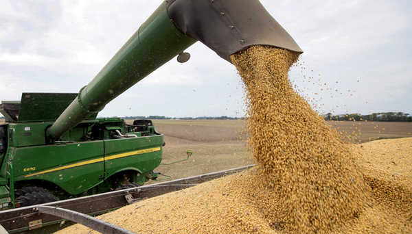 Prorroga de norma europea ayudaría a mejorar trazabilidad de la soja paraguaya | Agronegocios | 5Días