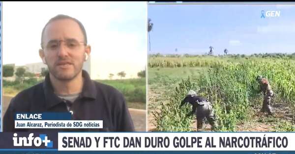 La Nación / Operativo Jejuí: asestan golpe superior a USD 10 millones a grupo narco en Maracaná