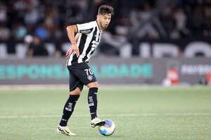 Palmeiras-Botafogo, hoy final anticipada en el Brasileirão - Fútbol Internacional - ABC Color