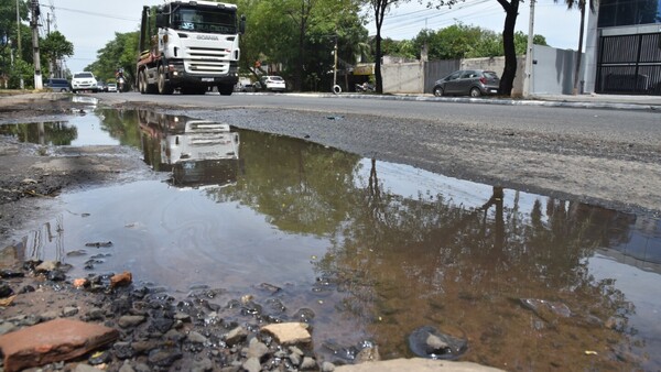 Asunción, previa a la Cumbre Verde: Tala de árboles y calles sin desagüe