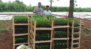 Emprendió en la producción de plantines y hoy es un aliado clave del sector hortícola