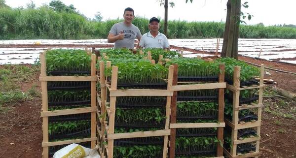 Emprendió en la producción de plantines y hoy es un aliado clave del sector hortícola