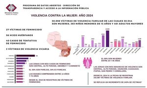 Violencia contra la Mujer: desde enero a octubre se registraron 30.898 denuncias y 27 casos de feminicidio – Diario TNPRESS