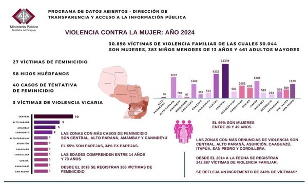 Violencia contra la Mujer: desde enero a octubre se registraron 30.898 denuncias y 27 casos de feminicidio – Diario TNPRESS