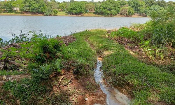 Denuncian que los vecinos del barrio Boquerón tiran residuos cloacales al Lago de la República – Diario TNPRESS