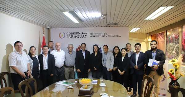 La Nación / Koica fortalecerá al sector hortícola local mediante cadenas de valor