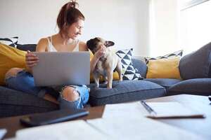 Mascotas y trabajo remoto: cómo equilibrar la productividad y su atención - Mascotas - ABC Color