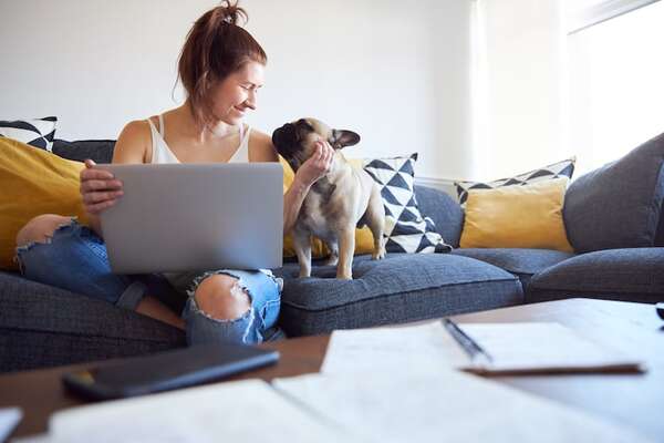 Mascotas y trabajo remoto: cómo equilibrar la productividad y su atención - Mascotas - ABC Color
