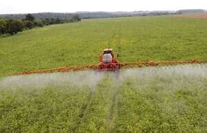 Plagas y altas temperaturas amenazan el rendimiento de la campaña agrícola - Economía - ABC Color