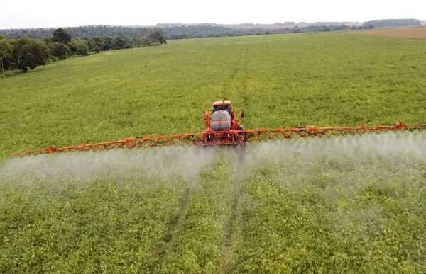 Plagas y altas temperaturas amenazan el rendimiento de la campaña agrícola - Economía - ABC Color