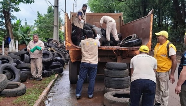 Operativo elimina miles de criaderos del Aedes aegypti en barrio de CDE - ADN Digital