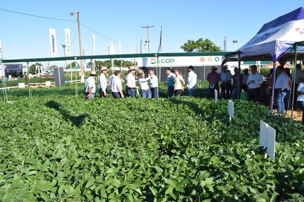 Arranca la Agrodinámica Colonias Unidas, la mayor muestra agrícola del país