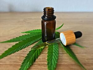 Paraguay busca ampliar el marco legal del cannabis industrial para impulsar su econom铆a