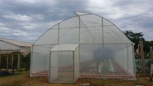 Avances tecnológicos impulsan la agricultura en San Pedro