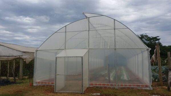 Avances tecnológicos impulsan la agricultura en San Pedro