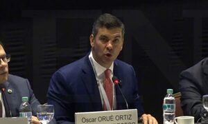 Peña rechaza medida adoptada por Carrefour sobre carne del Mercosur