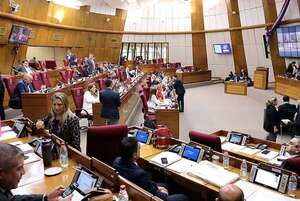 Diputados aprueban eliminar monopolio de juegos de azar  - Política - ABC Color