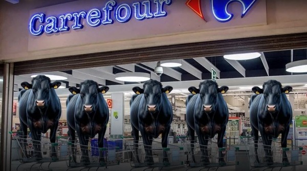 Carrefour se obligada a pedir disculpas a ganaderos en Brasil | Economía y Finanzas | 5Días