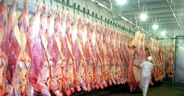 La Nación / El Ejecutivo busca nuevos mercados para la carne