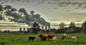 Los bancos multilaterales de desarrollo impulsarán el financiamiento climático