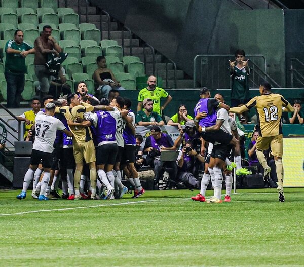 Versus / Botafogo vence al Palmeiras y recupera el liderato del Brasileirao