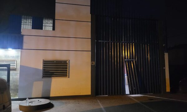 Criminales desarmaron al guardia de un depósito y luego se alzaron con mercaderías – Diario TNPRESS