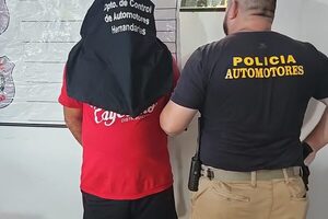 Decomisan camión y detienen a chofer implicados en un percance de tránsito – Diario TNPRESS
