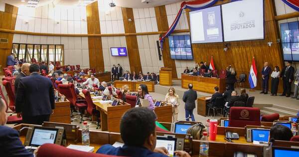 La Nación / Diputados aprueba extender el permiso de maternidad para mujeres en cargos electivos