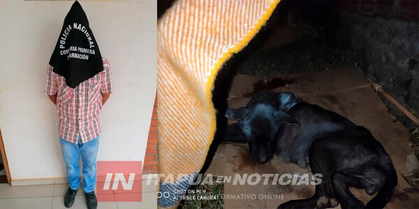DETUVIERON A SUJETO QUE HABRÍA ASESINADO A MARTILLAZOS A UN PERRO - Itapúa Noticias
