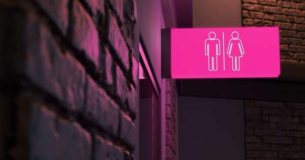 La Nación / Diputada abrió debate sobre baños sexados: “Es algo antiguo”