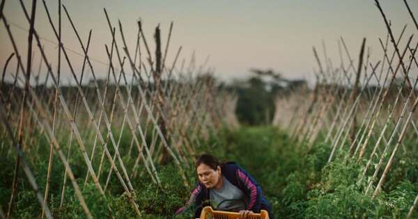 Diario HOY | “Mujeres en Movimiento”: Muestra fotográfica y audiovisual en el Centro Cultural del Puerto
