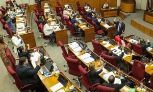 Senado aprueba con modificaciones el nuevo proyecto de Tren de cercanías
