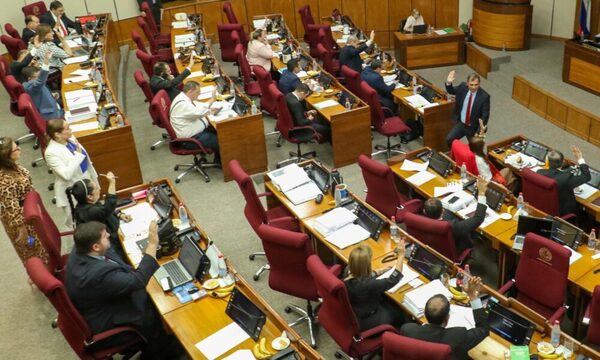 Senado aprueba con modificaciones el nuevo proyecto de Tren de cercanías