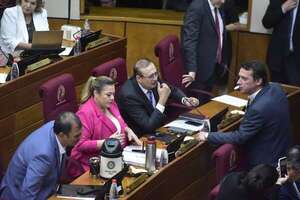 Autoaumentazos: estos mensajes políticos van incrementando el hartazgo de la gente, dice Barreto - Economía - ABC Color